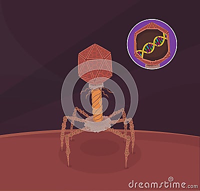 Bacteriophage virus Vector Illustration