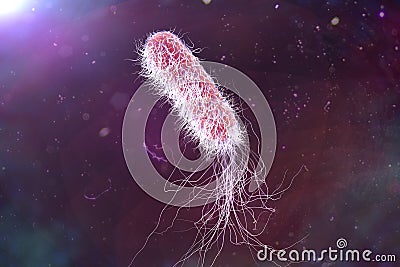 Bacterium Pseudomonas aeruginosa Cartoon Illustration