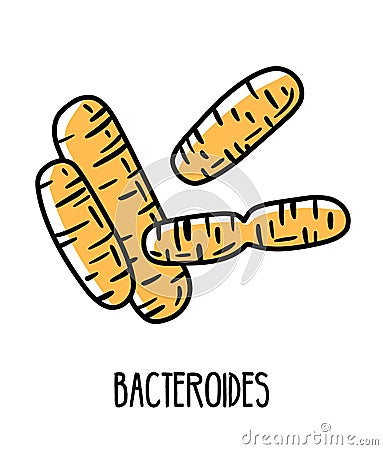 Bacteroides anaerobic bacteria in the human intestinal microflora Vector Illustration