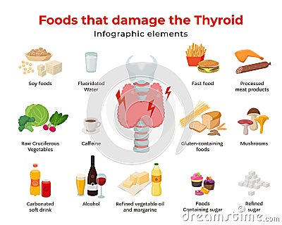 Bad foods for thyroid, set of food icons in flat design isolated on white background. Foods that damage the thyroid Vector Illustration