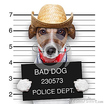 Bad mexican dog Stock Photo