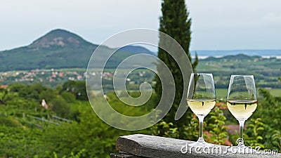 Two glasses of fine riesling wine in the Badacsony region in Hungary out in the nature Stock Photo