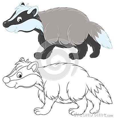 Badger Vector Illustration