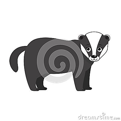 Badger forest animal Vector Illustration
