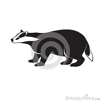 Badger on short legs isolated on white background. Vector Illustration