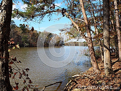 Badin Lake in Uwharrie National Forest Stock Photo