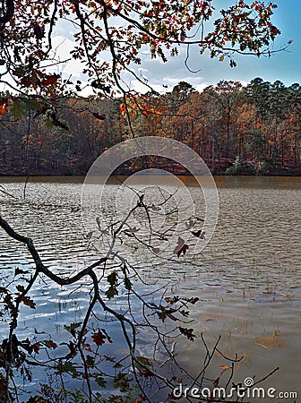 Badin Lake in Uwharrie National Forest Stock Photo