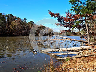 Badin Lake in Uwharrie National Forest Stock Photo