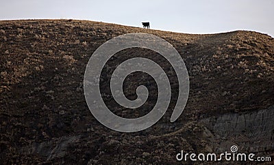 Badlands Canada Saskatchewan Stock Photo