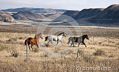 Badlands Canada Saskatchewan Stock Photo