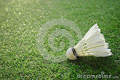 Badminton Birdie Background grass Stock Photo