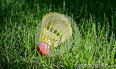 Badminton birdie in the green grass Stock Photo