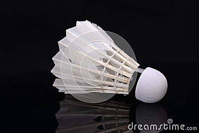 Badminton Stock Photo