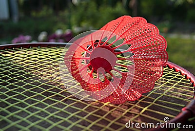 Badminton red shuttlecock Stock Photo