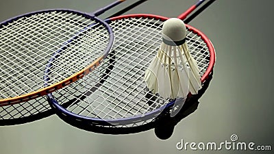 Badminton Stock Footage & Videos - 1,094 Stock Videos
