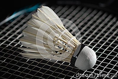 Badminton shuttlecock and racket. Goose feather shuttlecocks. High Speed Badminton Birdies. Great Stability and Durability. Stock Photo
