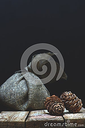 A bag of natural matting on a wooden table on a dark background and cedar cones, a copy space for your text Stock Photo