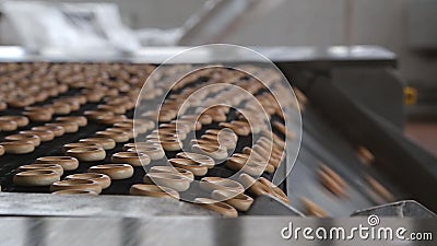 Bagels on the conveyor stock video. Video of equipment - 65943169