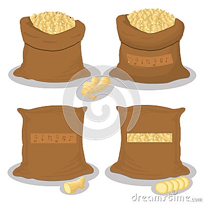 Bags filled with herb seasoning root ginger Vector Illustration