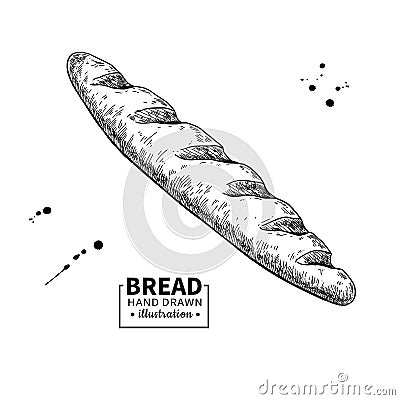 Baguette bread vector drawing. Bakery product sketch. Vector Illustration