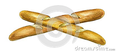 Baguette bread watercolor illustration. Hand drawn morning breakfast tasty bakery. Backed group baguette bread element Cartoon Illustration