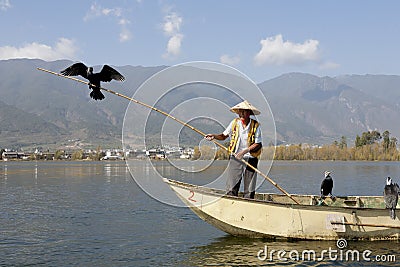 Bai Chinese Man with Cormorant Editorial Stock Photo
