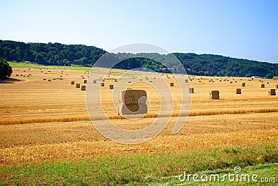 Bails of hay on farm land Stock Photo