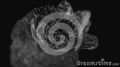 Baisse grise en mouvement de l'eau de ferrofluid. Fond liquide holographique mobile 3d digest rendre d'animation d'ondes de surfac clips vidéos Baisse grise en mouvement de l'eau de ferrofluid. Fond liquide holographique mobile 3d digest rendre d'animation d'ondes de surfac clips vidéos