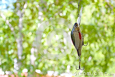 Bait number 2 for catching predatory fish in lakes and rivers. Stock Photo