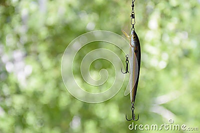 Bait number 4 vertical orientation for catching predatory fish in lakes and rivers. Stock Photo