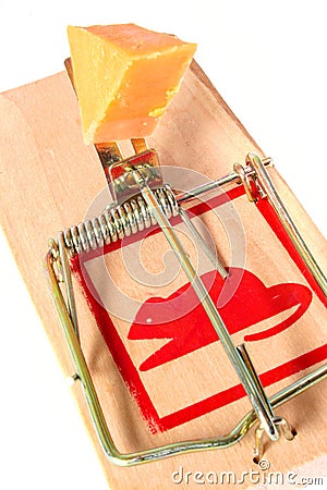 Baited Mousetrap Stock Photo