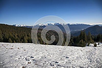 Mountain forest landscape and Baiului mountains Stock Photo