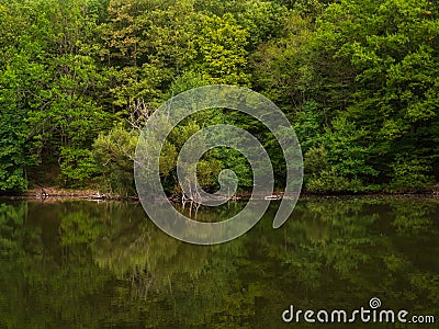 Bajdázó lake in Börzsöny in autumn Stock Photo