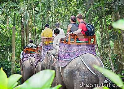 BAKAS ELEPHANT SAFARI, Bali, Indonesia Editorial Stock Photo