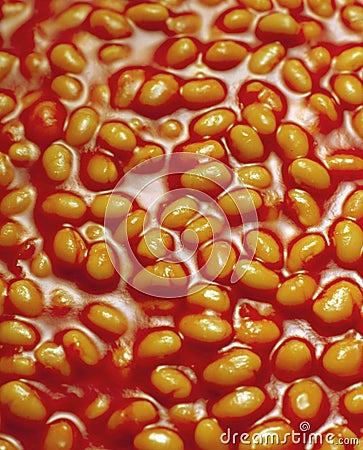 Baked beans in tomato sauce Stock Photo