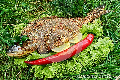 Baked carp with spices and vegetables on fire on green background Stock Photo