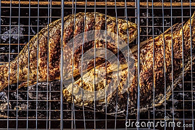 Baked on charcoal grill carp fish Stock Photo