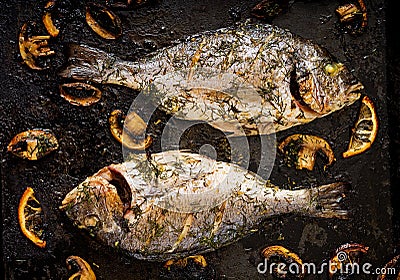 Baked dorado fish in garlic dill sauce with mushrooms and lemon Stock Photo