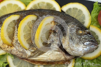 Baked grilled cooked dorado fish Stock Photo