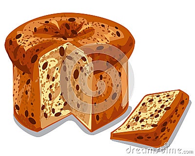 Baked panettone cake Vector Illustration