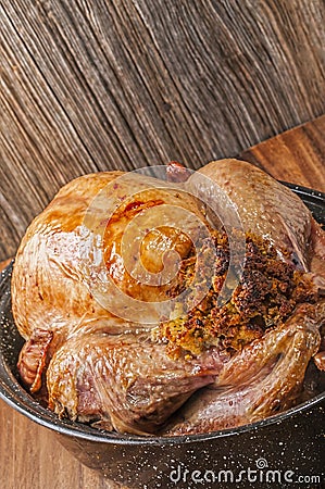 Baked,stuffed,Thanksgiving turkey in granite pan Stock Photo