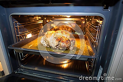 Baked turkey , Turkey Meat Stock Photo