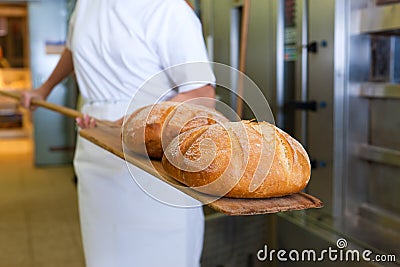 Baker baking bread showing the product Stock Photo