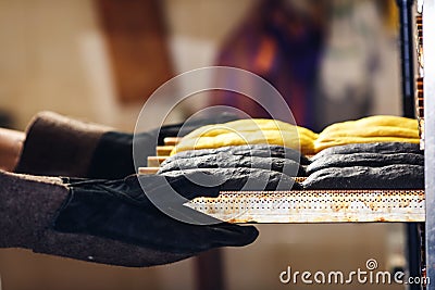 The baker holds tray with yellow and black buns for hot dogs Stock Photo