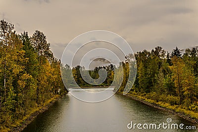 baker river in a forest at autumn rainy day cloudy sky near Concrete Washington USA Stock Photo