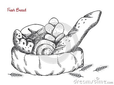 Bakery: bread, buns, croissant, loaf on white background Vector Illustration