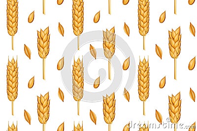 Bakery pattern. Wheat ears. Farm corn. Harvest from field or farming land. Barley and oat seeds. Agricultural cereal Vector Illustration