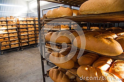 Bakery. Production of bread, rolls, pies and cookies Stock Photo