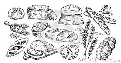 Bakery products set Vector Illustration
