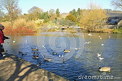 River Wye, Bakewell, Derbyshire. Editorial Stock Photo